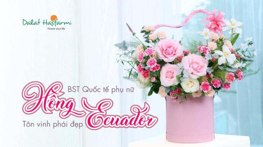 Hoa Hồng Ecuador – Vẻ Đẹp Sang Trọng Tôn Vinh Phái Đẹp 8/3